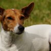 bild_102