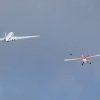 bild_464